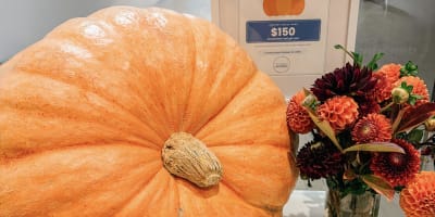 2026 Fall Newsletter